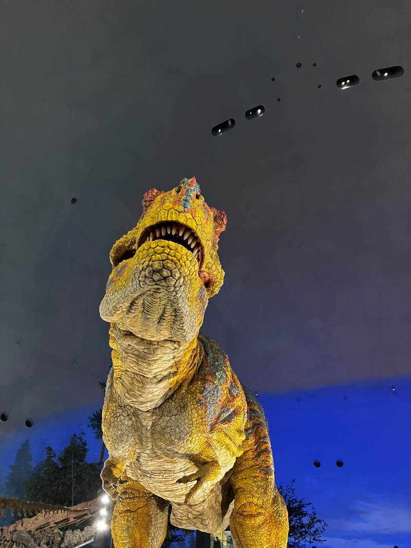 ティラノサウルス